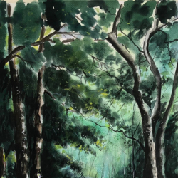 Ömer İnan 18824 | Müzayede App